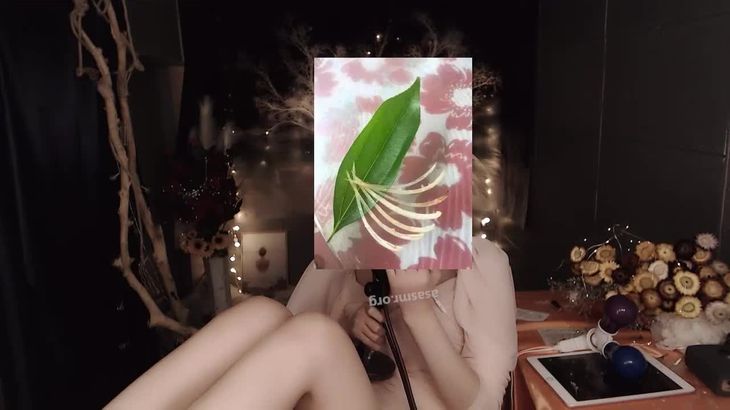 [小太阳贼大]ASMR魔法书福利7部 2